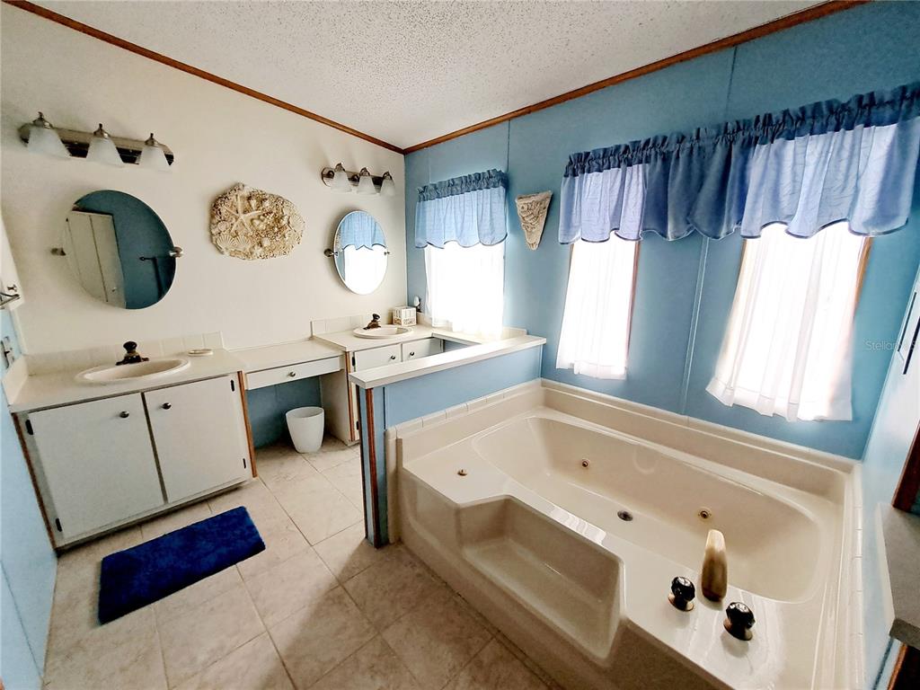116 Maple Leaf Drive Palm Harbor, FL 34684 - Photo 15 of 38 a bathroom with a bathtub sink and mirror