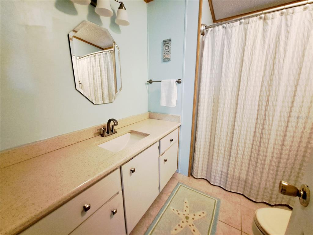 116 Maple Leaf Drive Palm Harbor, FL 34684 - Photo 19 of 38 a bathroom with a sink and a mirror