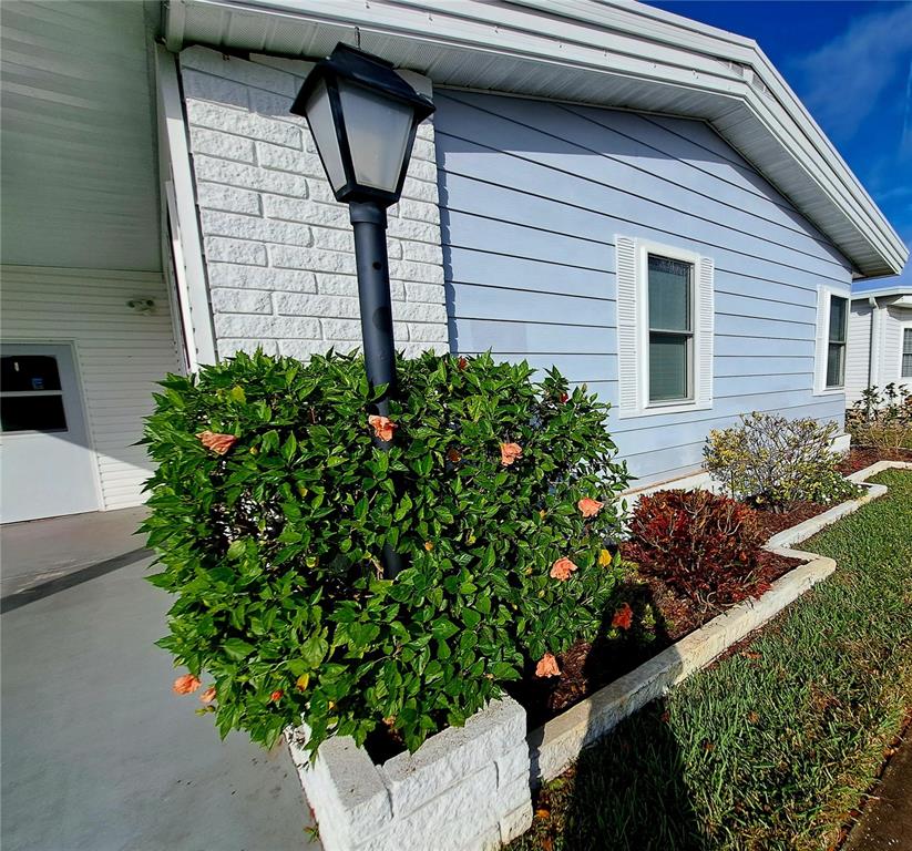 116 Maple Leaf Drive Palm Harbor, FL 34684 - Photo 2 of 38 a house with a flower garden