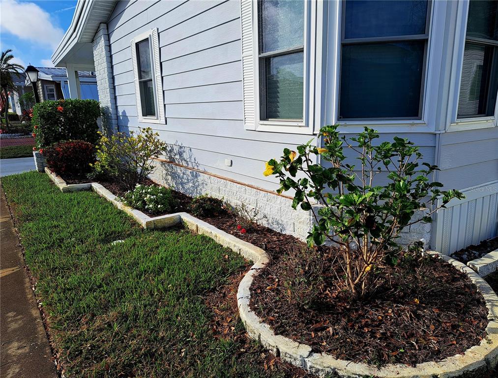 116 Maple Leaf Drive Palm Harbor, FL 34684 - Photo 3 of 38 a view of a house with a yard and potted plants