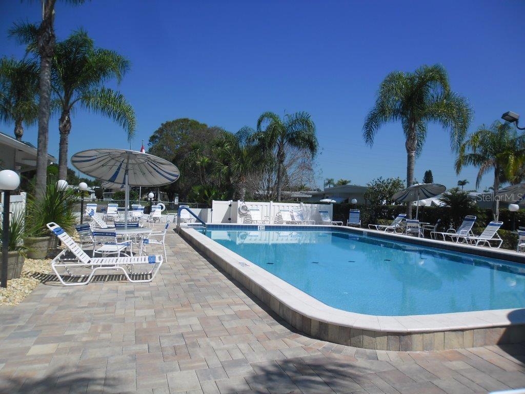 116 Maple Leaf Drive Palm Harbor, FL 34684 - Photo 34 of 38 a view of a swimming pool and lounge chairs