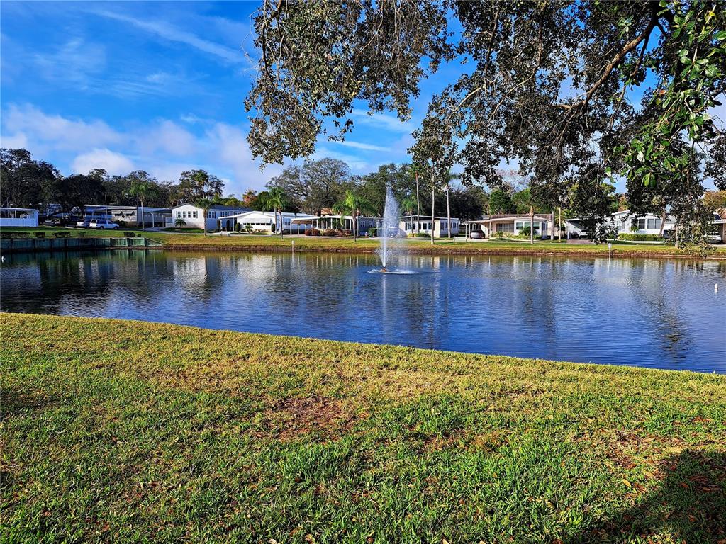 116 Maple Leaf Drive Palm Harbor, FL 34684 - Photo 6 of 38 a view of a lake with houses