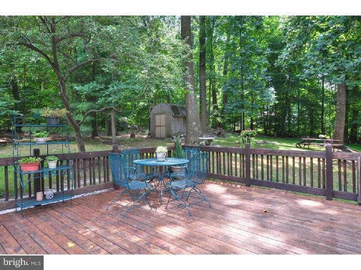 710 Brainerd Road Exton, PA 19341 - Photo 22 of 23 View in Back