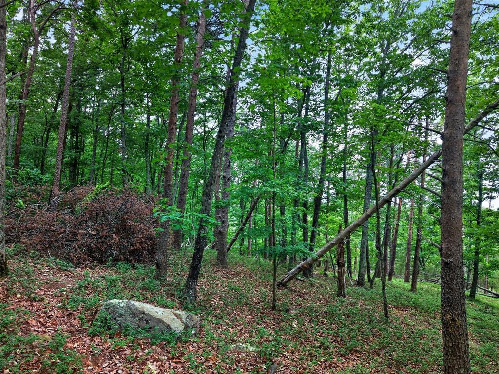 0 Ridgeside Court Jasper, GA 30143 - Photo 4 of 22 a backyard of a house with lots of green space