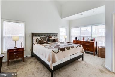 10209 Brighton Ridge Way, Unit 91 Columbia, MD 21044 - Photo 14 of 30 Master Bedroom