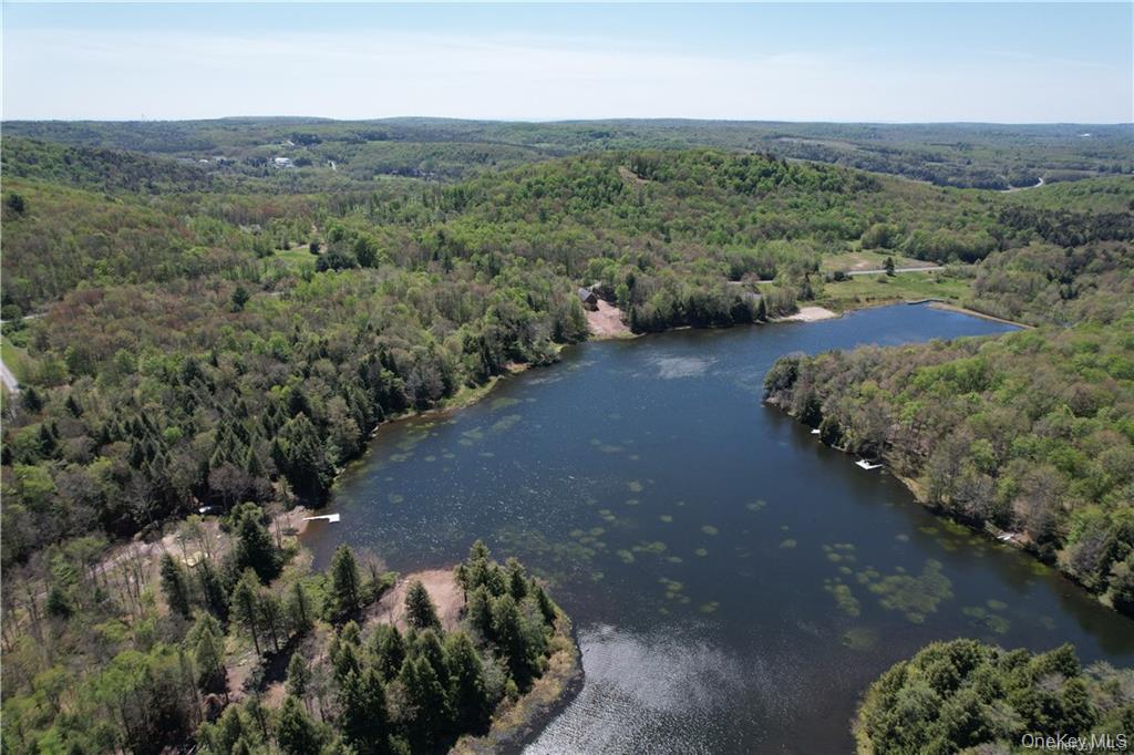 172 Eagles Ridge Way Parksville, NY 12768 - Photo 11 of 36 an aerial view of green landscape with trees all around
