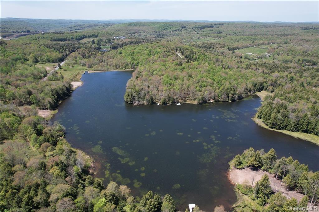 172 Eagles Ridge Way Parksville, NY 12768 - Photo 12 of 36 an aerial view of a house with a yard