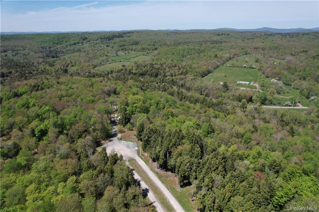 172 Eagles Ridge Way Parksville, NY 12768 - Photo 14 of 36 a view of a city with lush green forest
