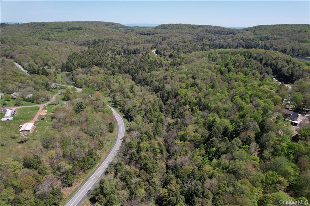 172 Eagles Ridge Way Parksville, NY 12768 - Photo 15 of 36 an aerial view of forest