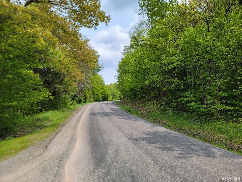 172 Eagles Ridge Way Parksville, NY 12768 - Photo 16 of 36 a view of a street from a yard