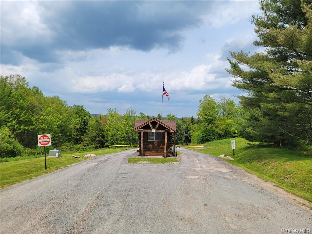 172 Eagles Ridge Way Parksville, NY 12768 - Photo 17 of 36 a view of a park with slide