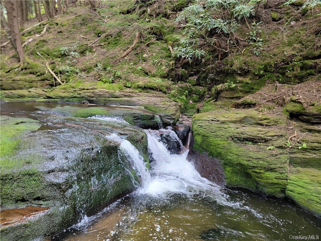 172 Eagles Ridge Way Parksville, NY 12768 - Photo 2 of 36 a view of a pathway with a lake