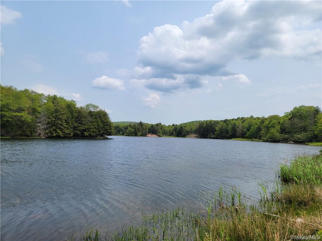 172 Eagles Ridge Way Parksville, NY 12768 - Photo 29 of 36 a view of a lake