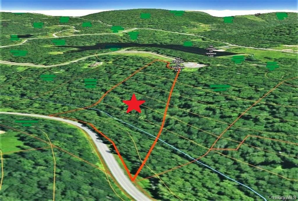 172 Eagles Ridge Way Parksville, NY 12768 - Photo 34 of 36 a view of a lush green space