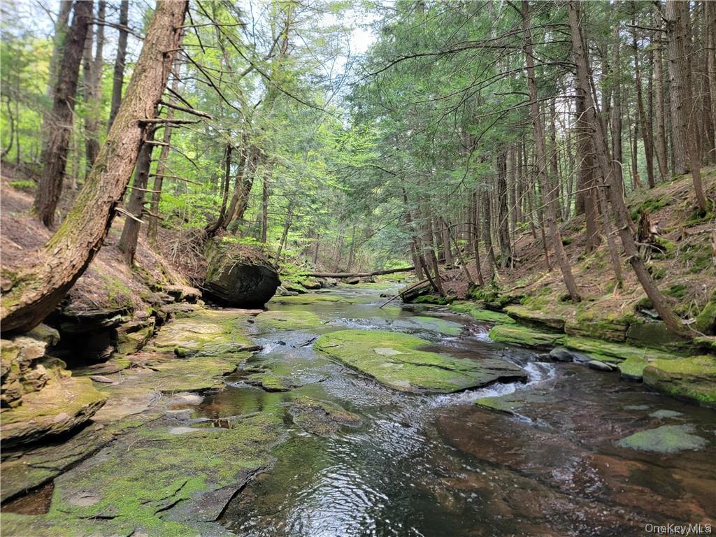 172 Eagles Ridge Way Parksville, NY 12768 - Photo 6 of 36 a view of a backyard