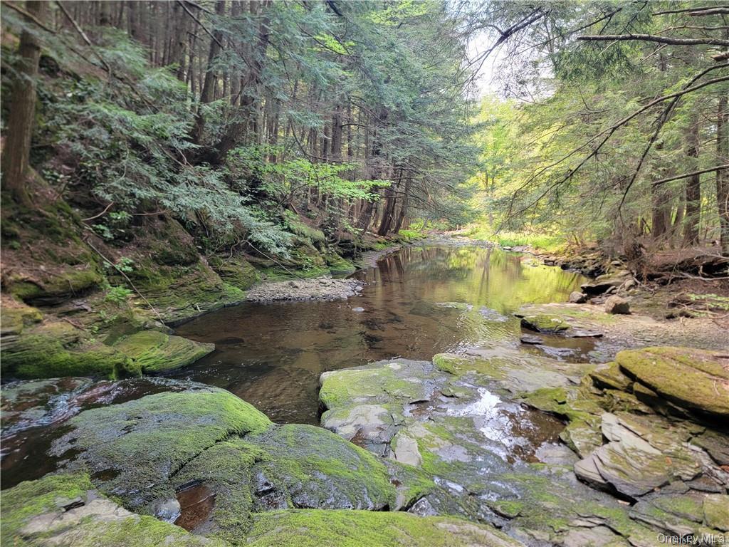 172 Eagles Ridge Way Parksville, NY 12768 - Photo 7 of 36 a view of a lake with large trees