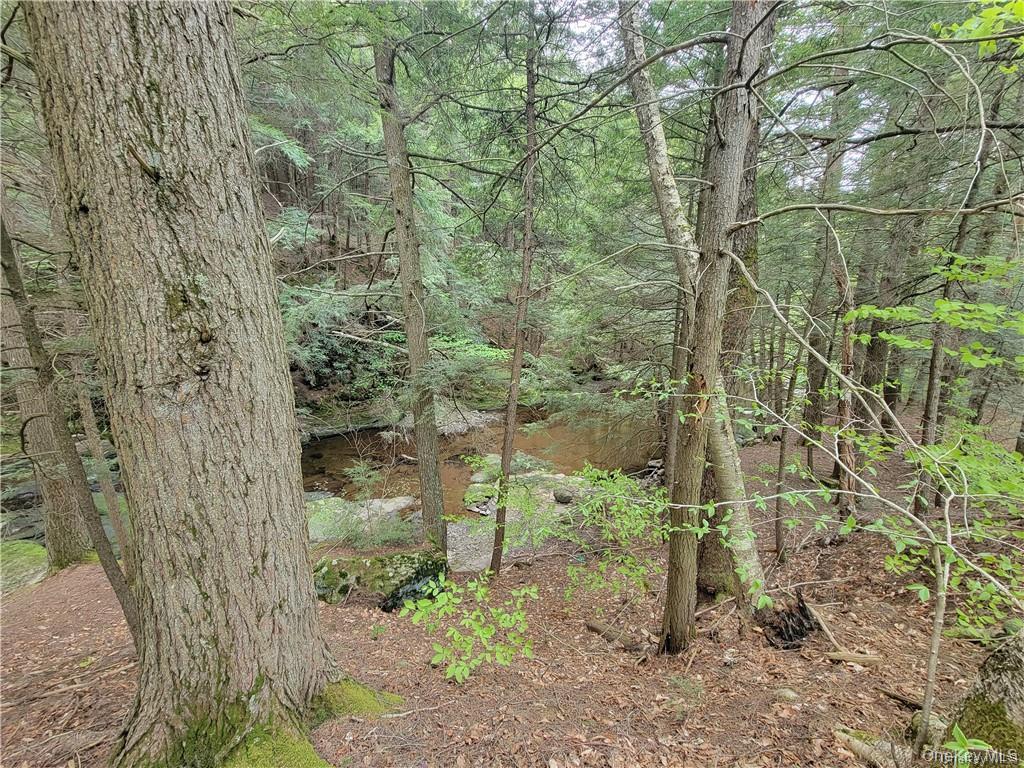 172 Eagles Ridge Way Parksville, NY 12768 - Photo 8 of 36 a view of a bathroom
