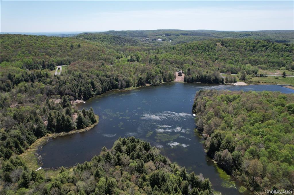 172 Eagles Ridge Way Parksville, NY 12768 - Photo 9 of 36 an aerial view of a house with a yard
