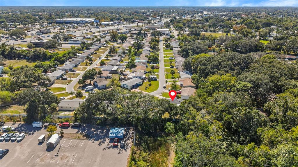 4613 Irene Loop New Port Richey, FL 34652 - Photo 46 of 48