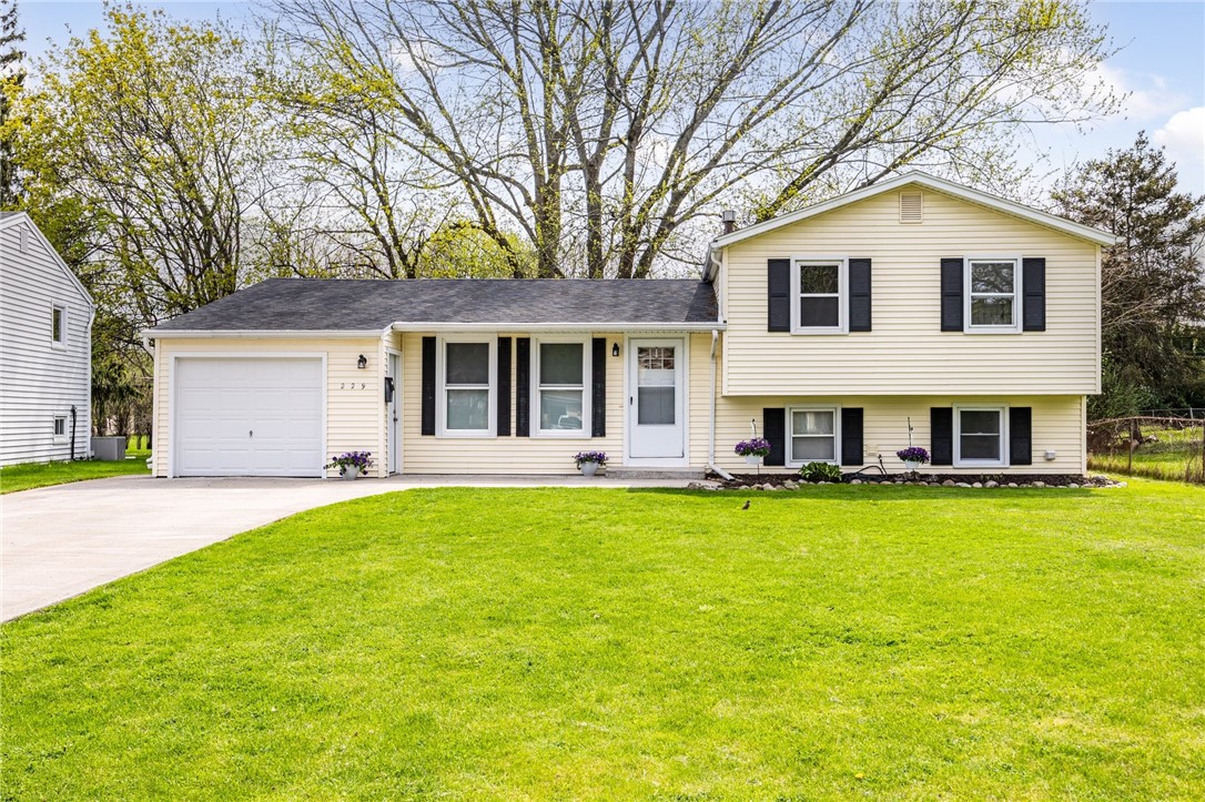 Welcome to 229 Elm Drive!