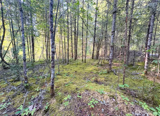 a view of outdoor space with trees
