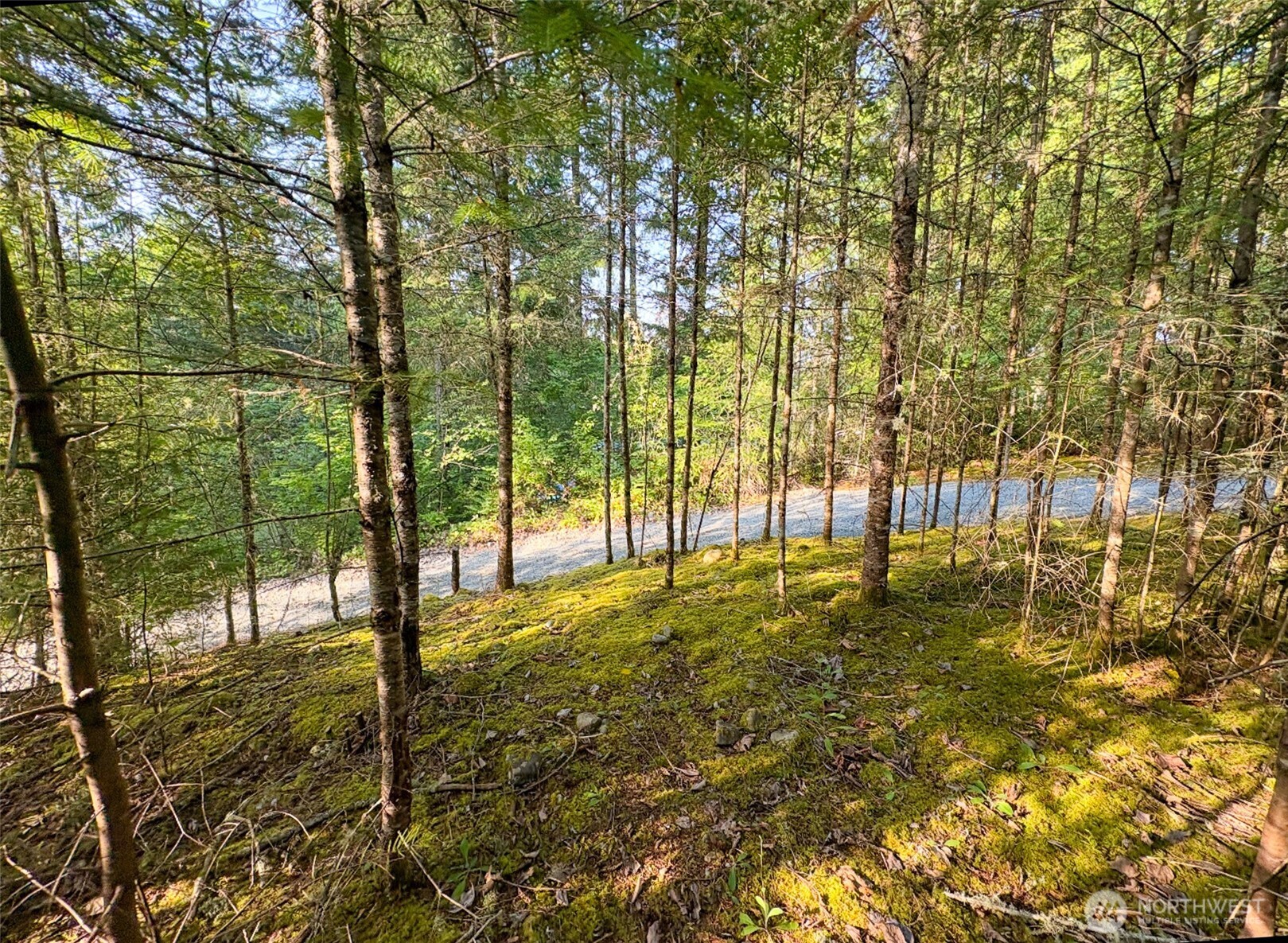 19620 199th Street East Orting, WA 98360 - Photo 6 of 8 a view of yard