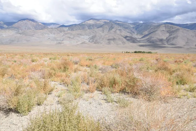 a view of beach and mountains