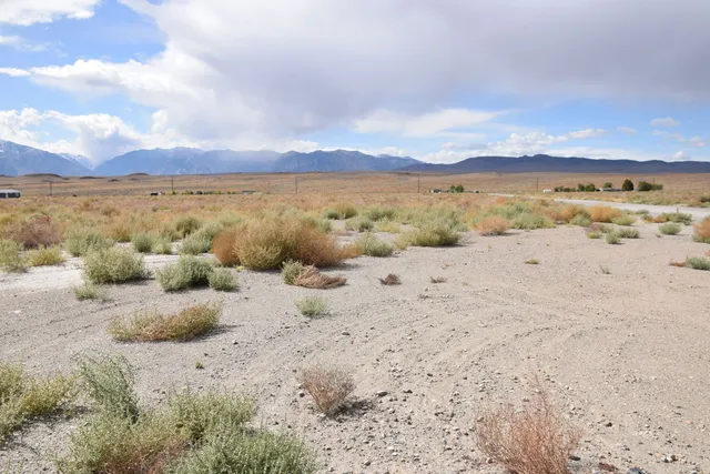 a view of an ocean beach