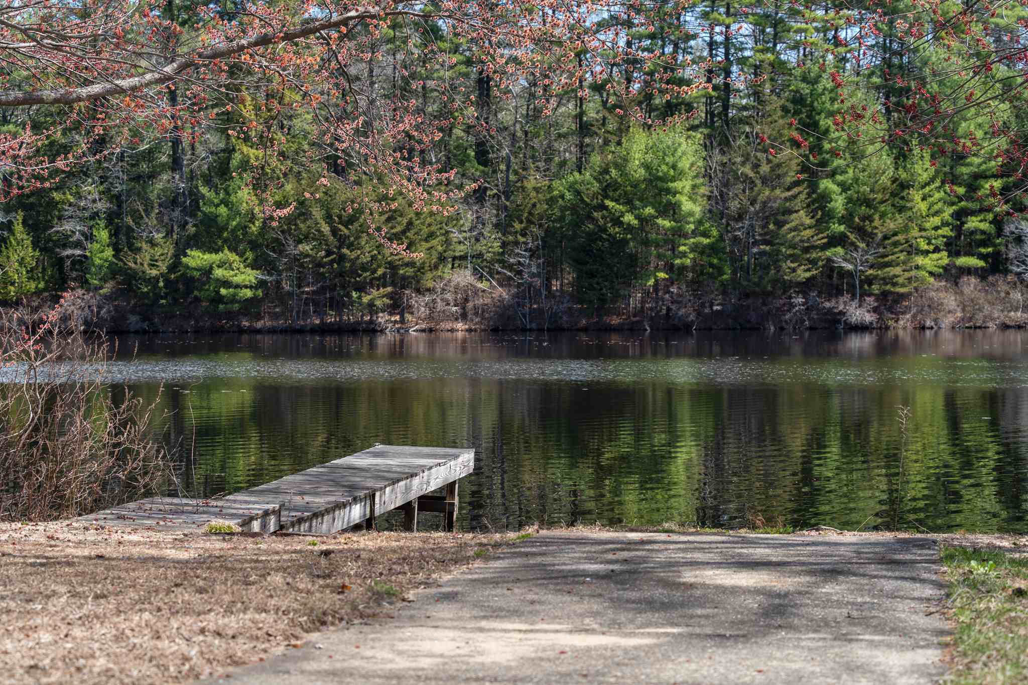 10 Travis Cove Road Kingston, NH 03848 - Photo 37 of 39 Gallery Image 37