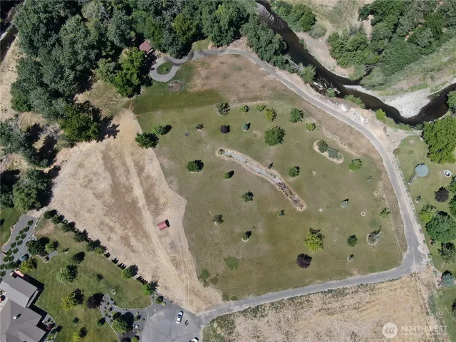 a view of a plant in a garden