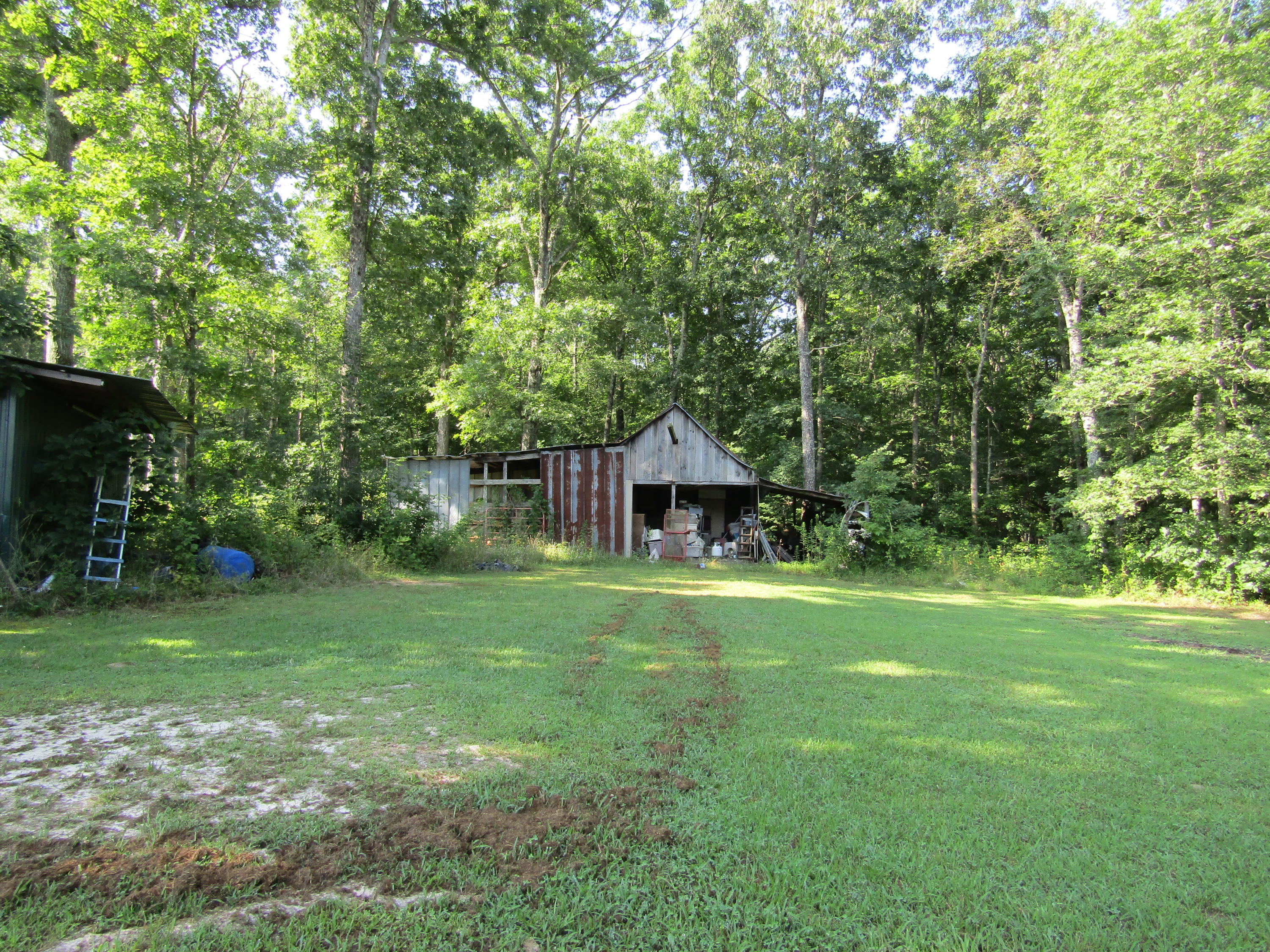 Back Yard and Deck