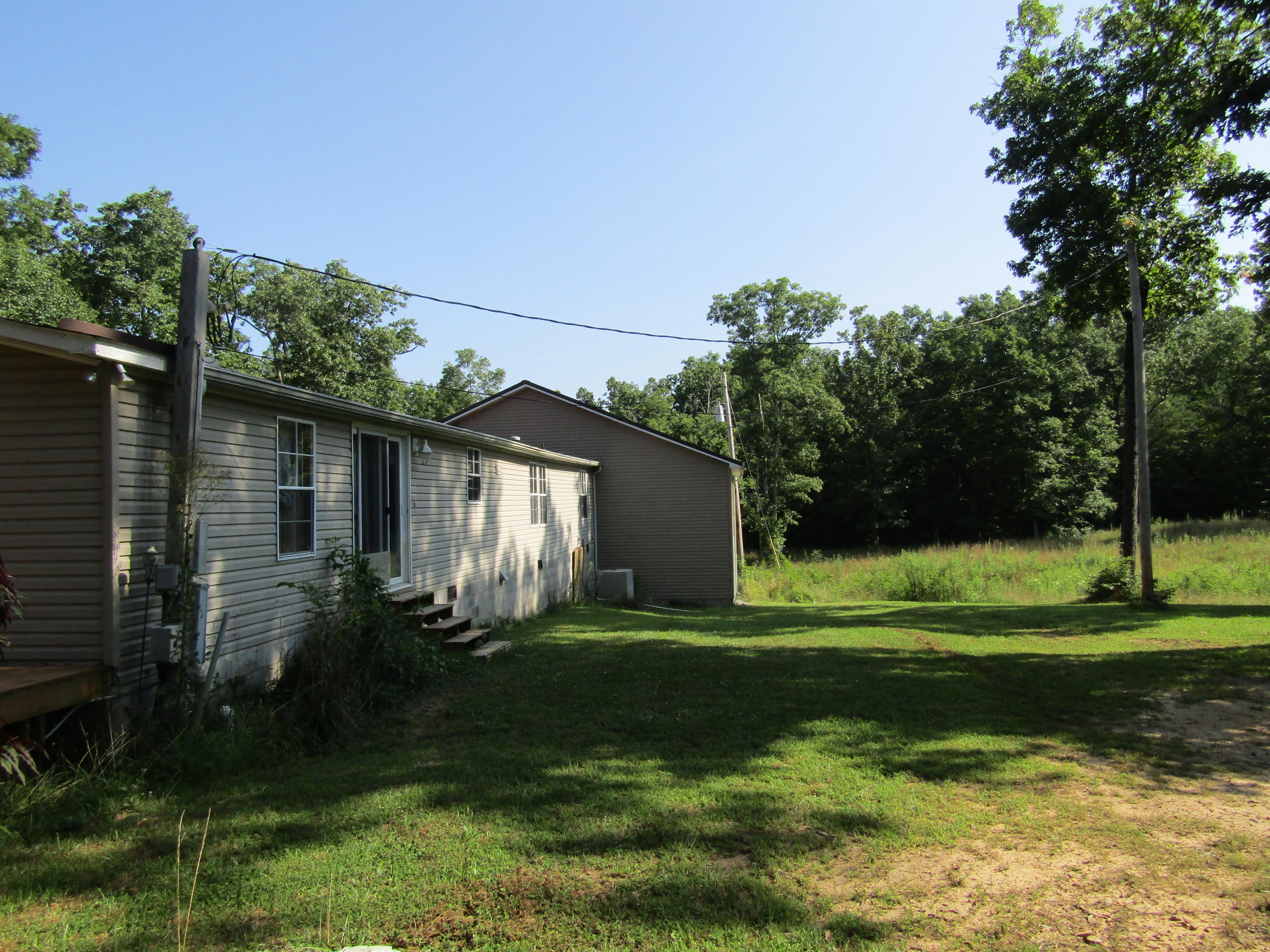 Back yard