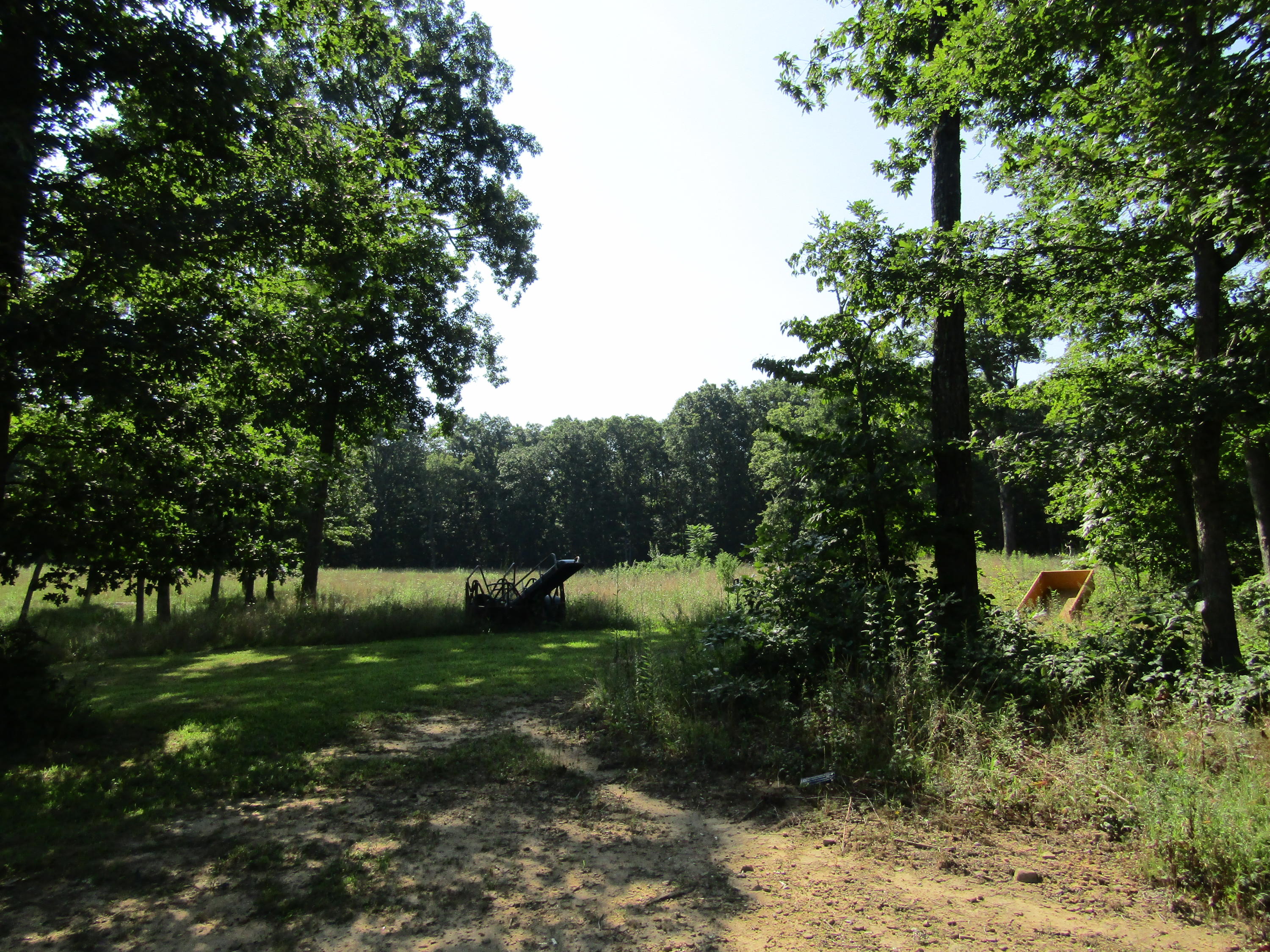 Open field