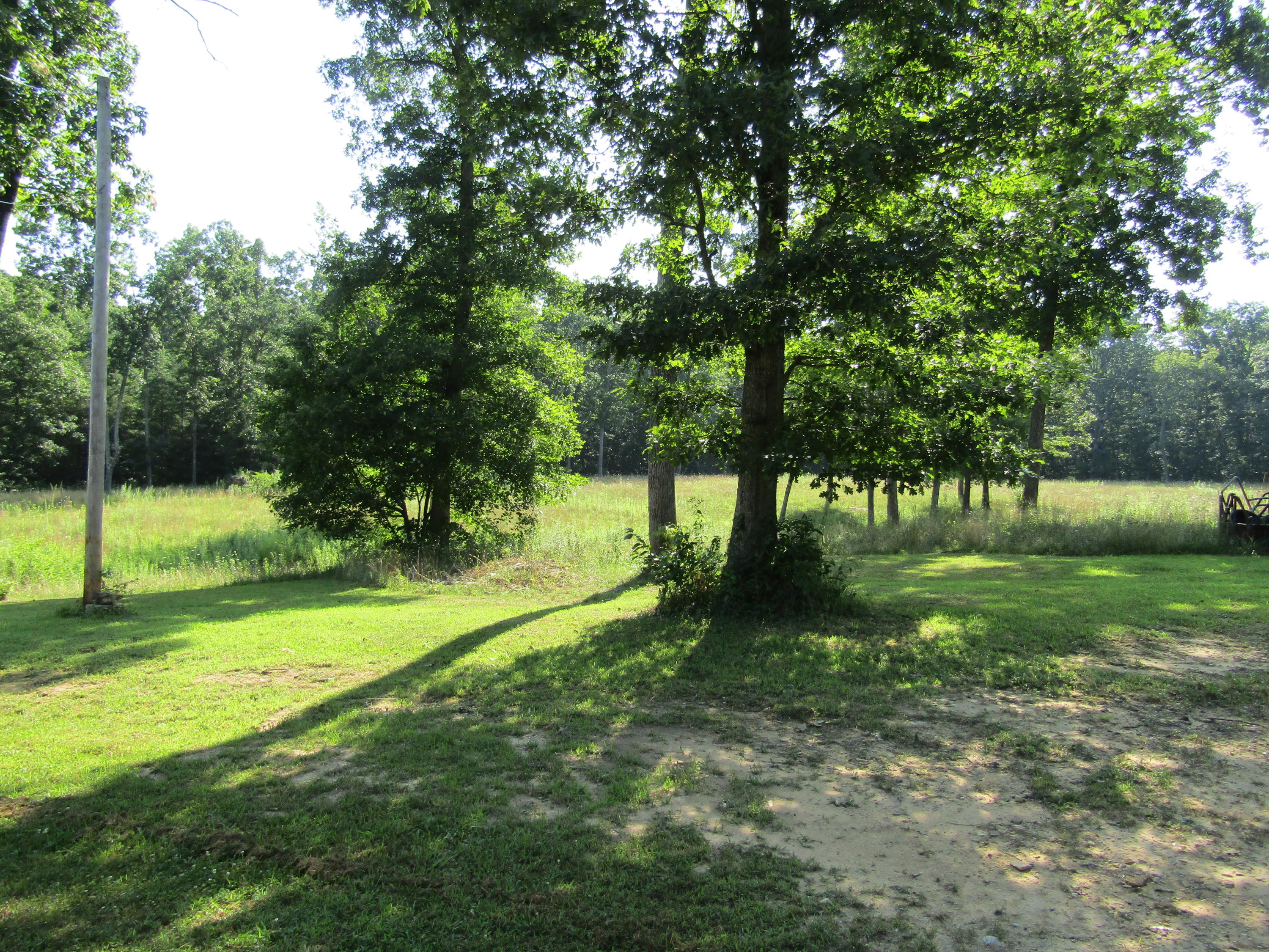 509 Hoover Road Crossville, TN 38572 - Photo 8 of 22 Open Field
