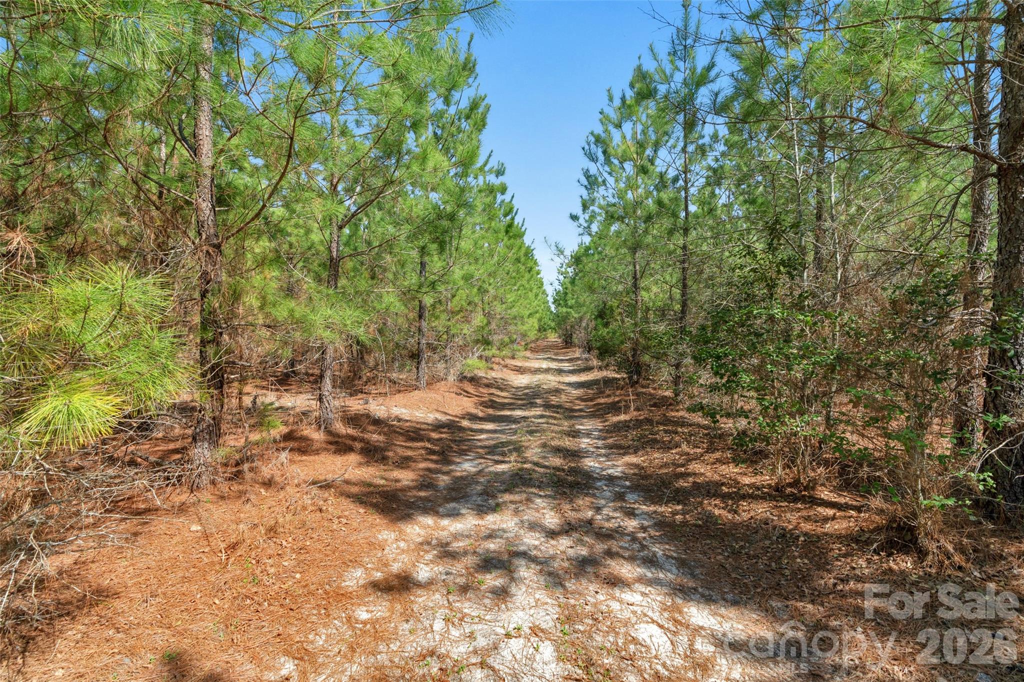 931 Charlie Johnson Road, Unit 7 Kershaw, SC 29067 - Photo 23 of 34