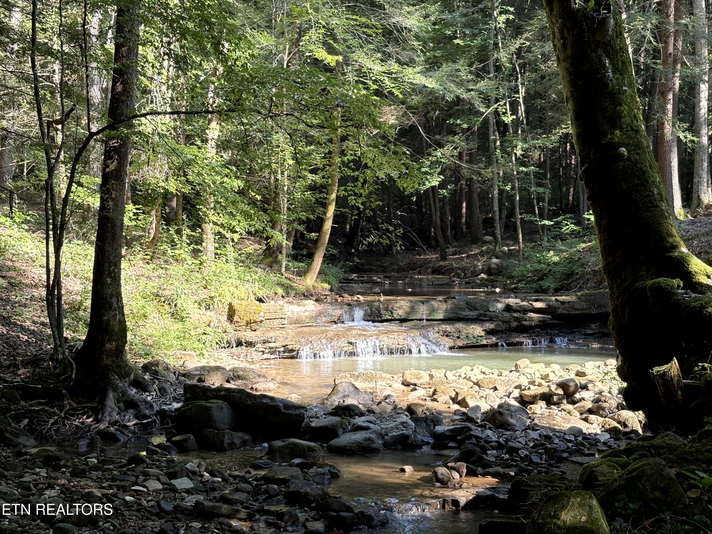 7966 Henson Gap Road Dunlap, TN 37327 - Photo 17 of 34 Image 17