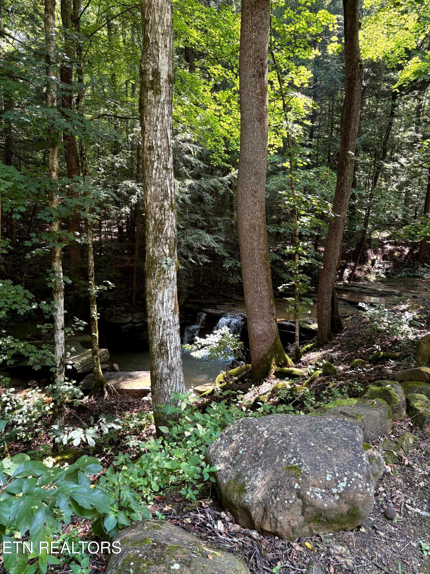 7966 Henson Gap Road Dunlap, TN 37327 - Photo 18 of 34 Image 18