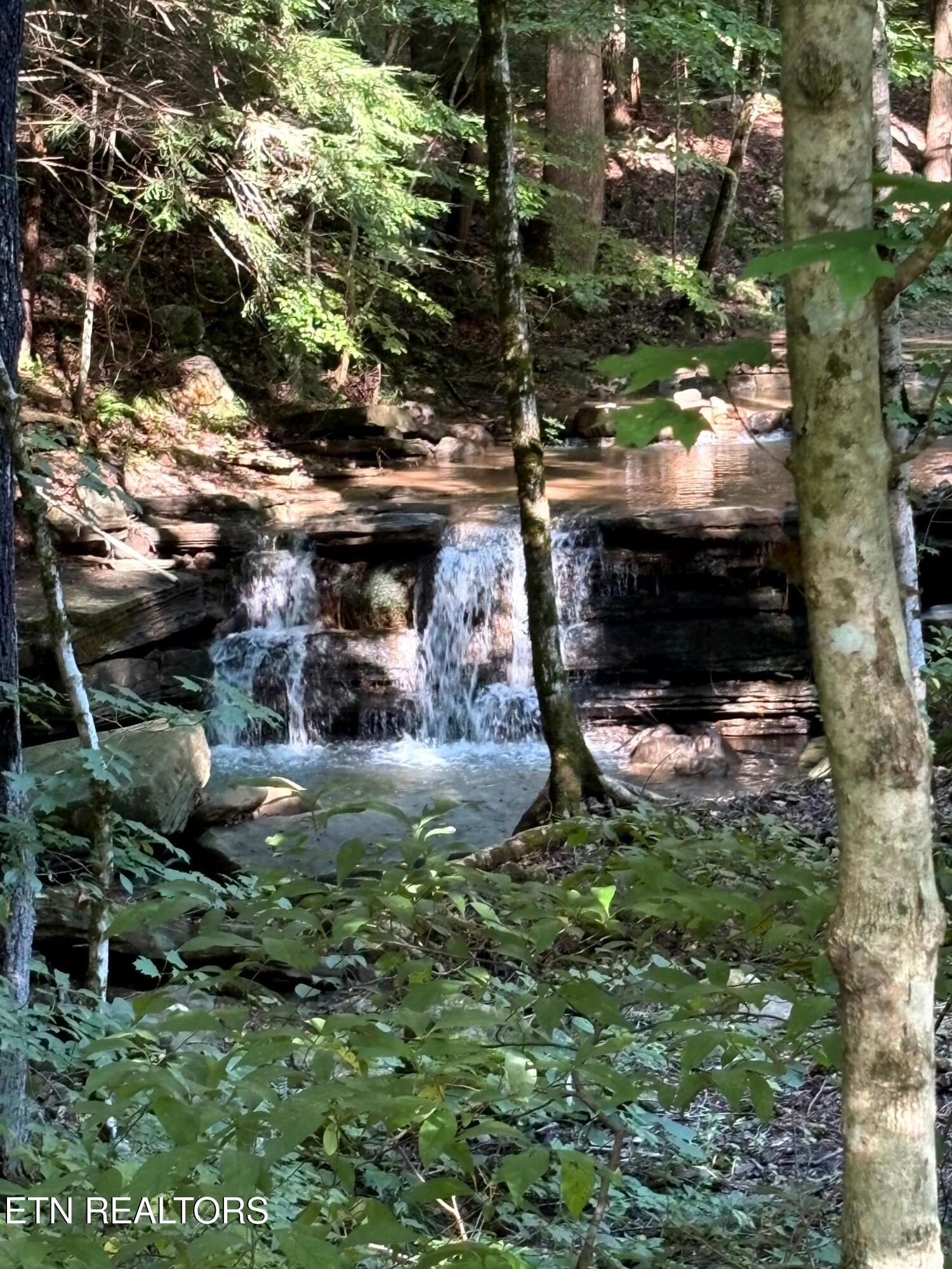 7966 Henson Gap Road Dunlap, TN 37327 - Photo 19 of 34 Image 19