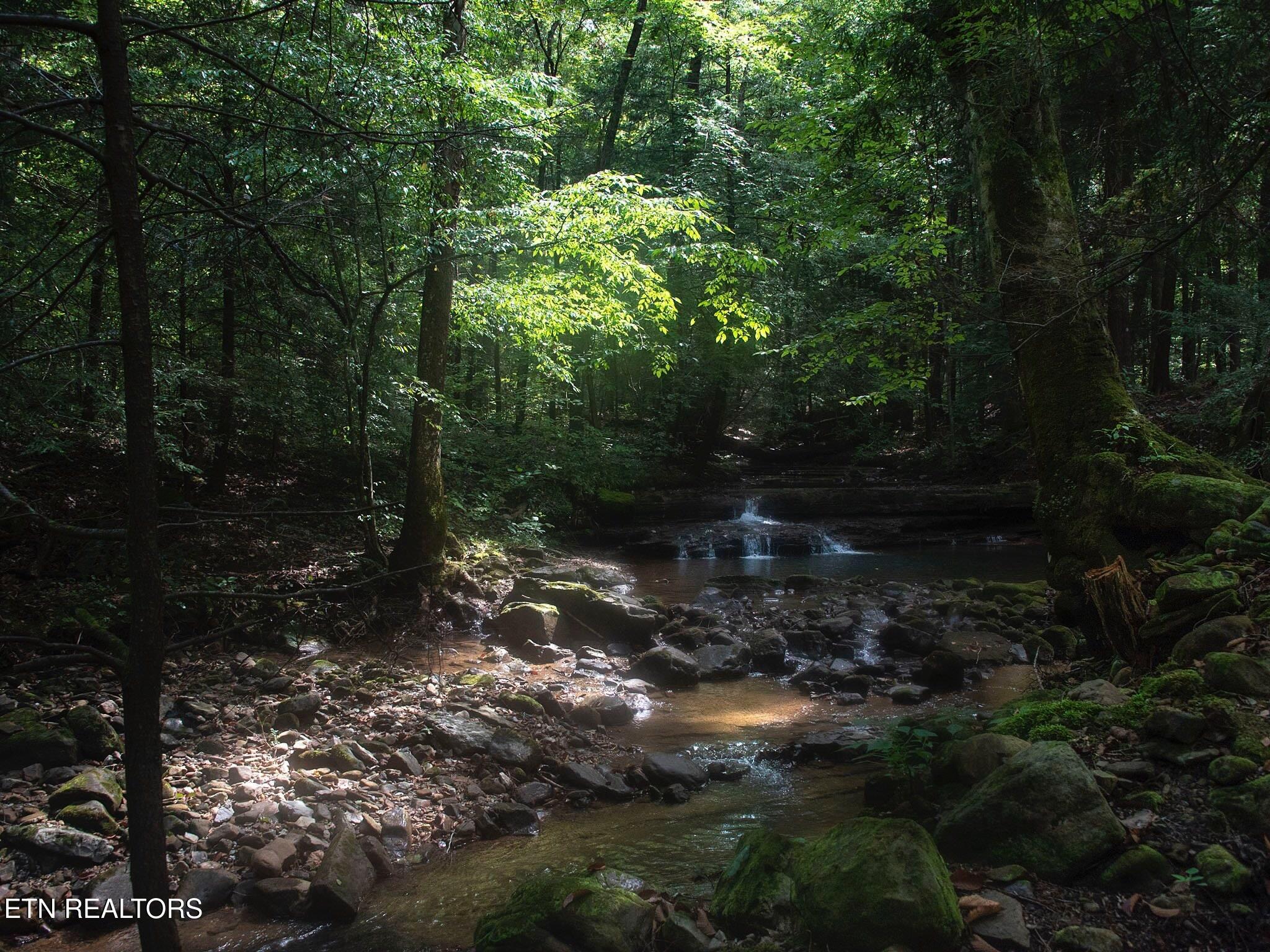 7966 Henson Gap Road Dunlap, TN 37327 - Photo 22 of 34 Image 22