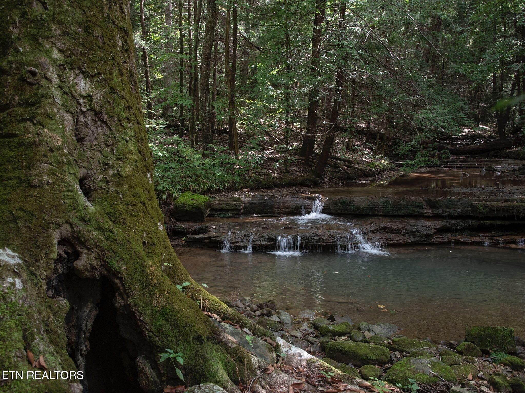 7966 Henson Gap Road Dunlap, TN 37327 - Photo 23 of 34 Image 23