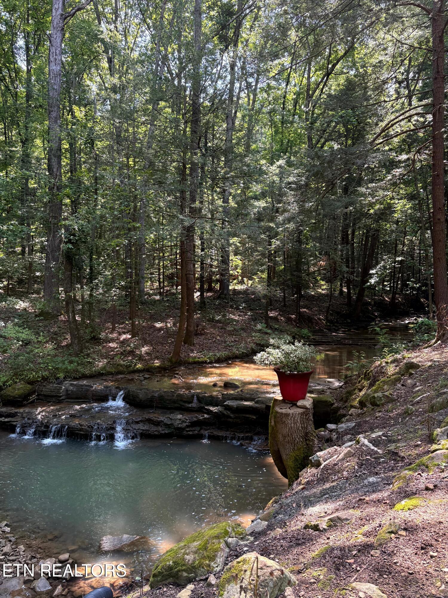 7966 Henson Gap Road Dunlap, TN 37327 - Photo 24 of 34 Image 24