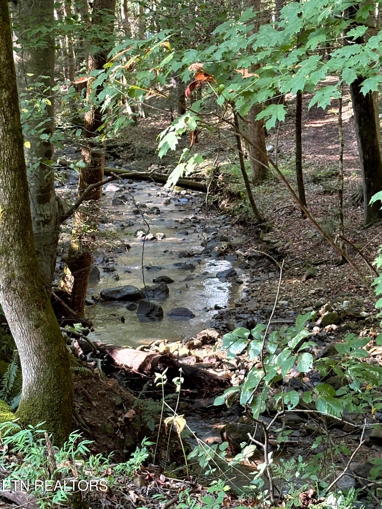 7966 Henson Gap Road Dunlap, TN 37327 - Photo 25 of 34 Image 25