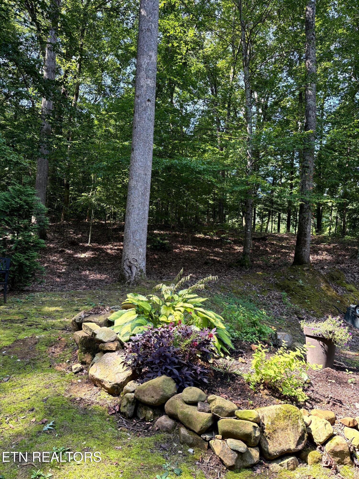 7966 Henson Gap Road Dunlap, TN 37327 - Photo 27 of 34 Image 27