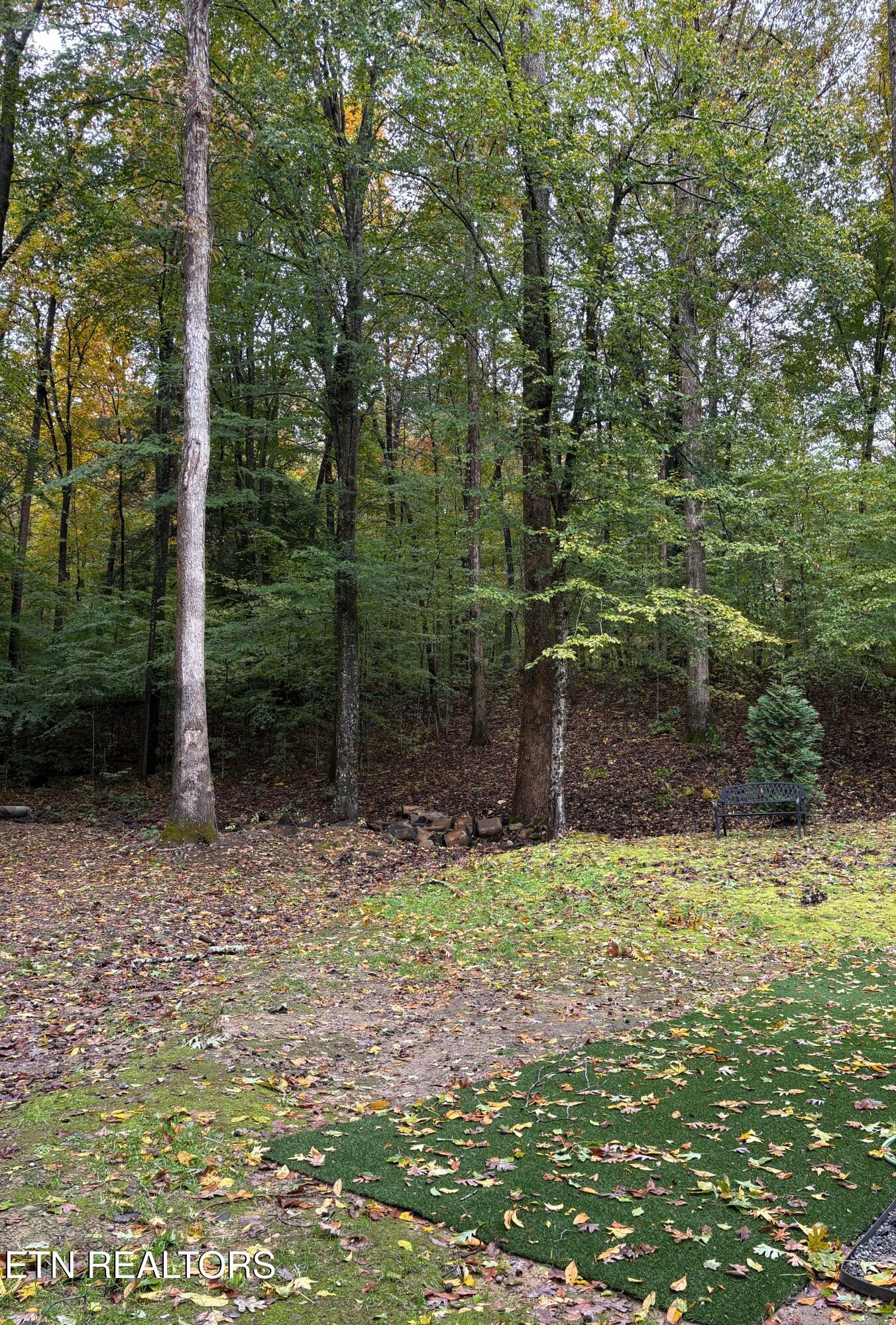 7966 Henson Gap Road Dunlap, TN 37327 - Photo 29 of 34 Image 29