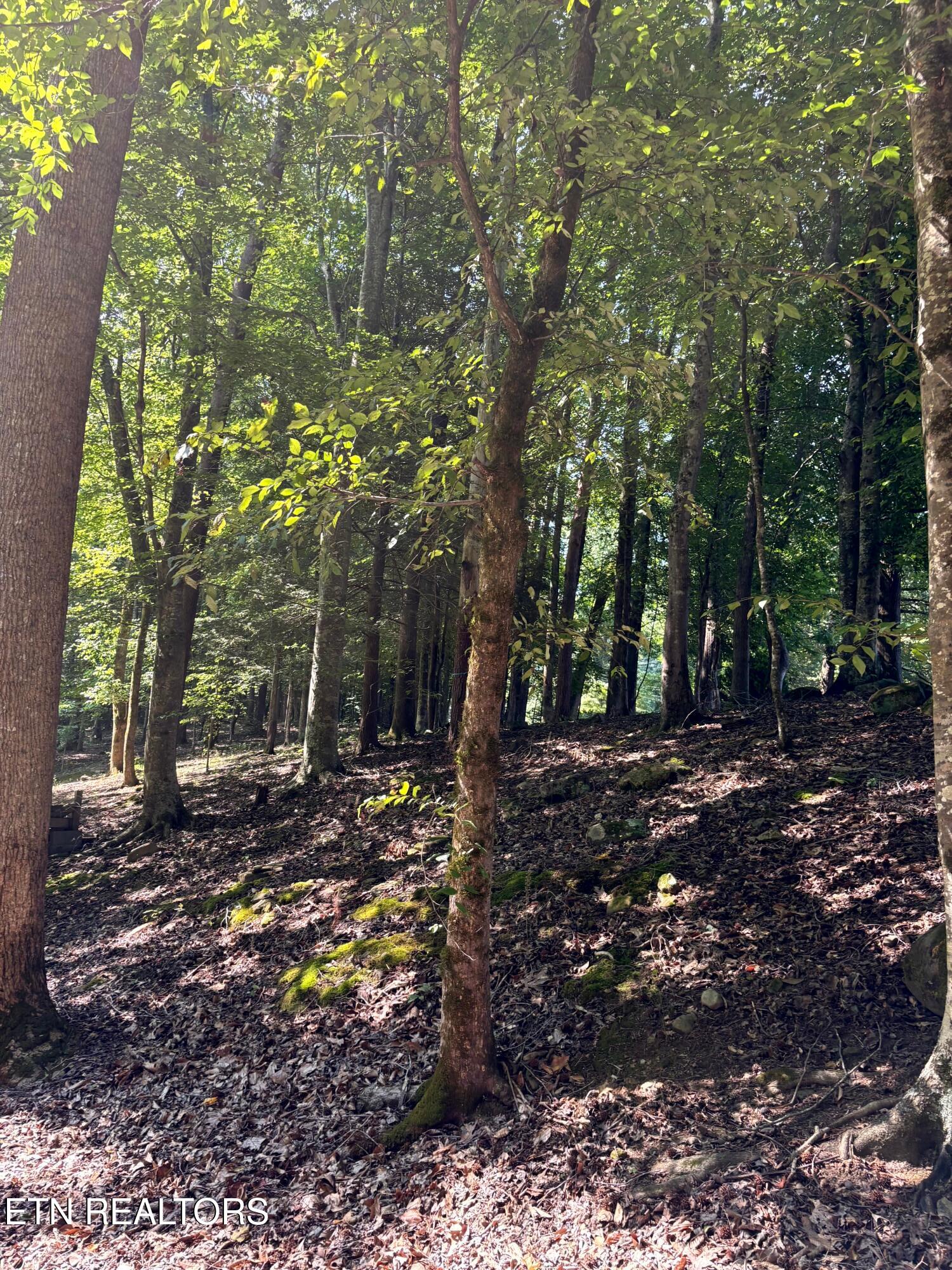 7966 Henson Gap Road Dunlap, TN 37327 - Photo 33 of 34 Image 33