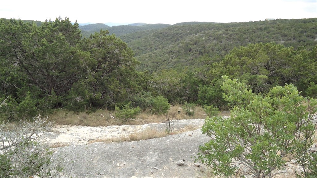229 Pinon Loop East Camp Wood, TX 78833 - Photo 9 of 24