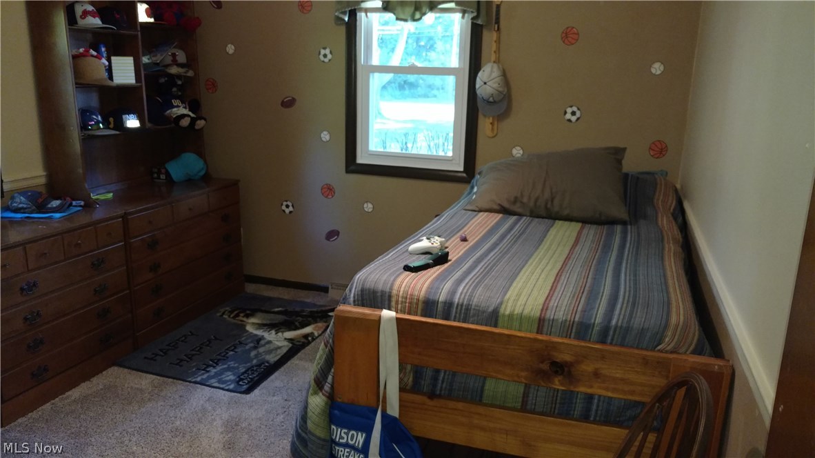 7445 Chapel Road Madison, OH 44057 - Photo 21 of 30