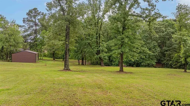 a blue park view with a tree