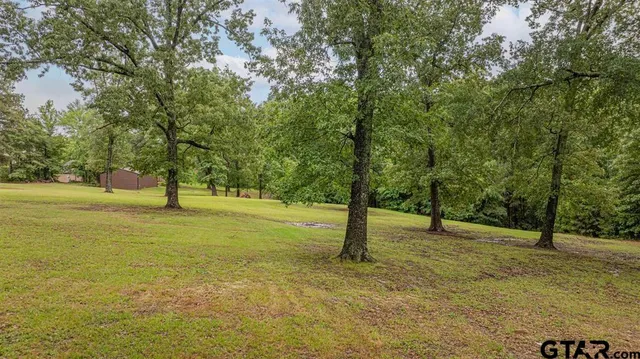 a view of a tree in the middle of a yard