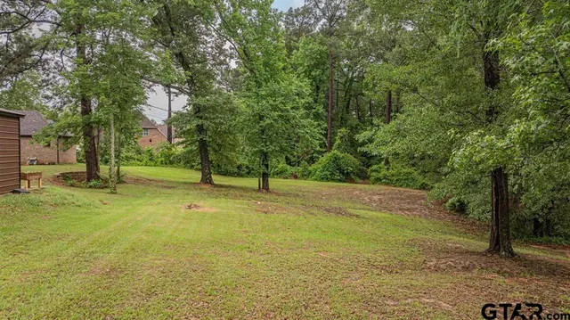 a view of a yard with a tree